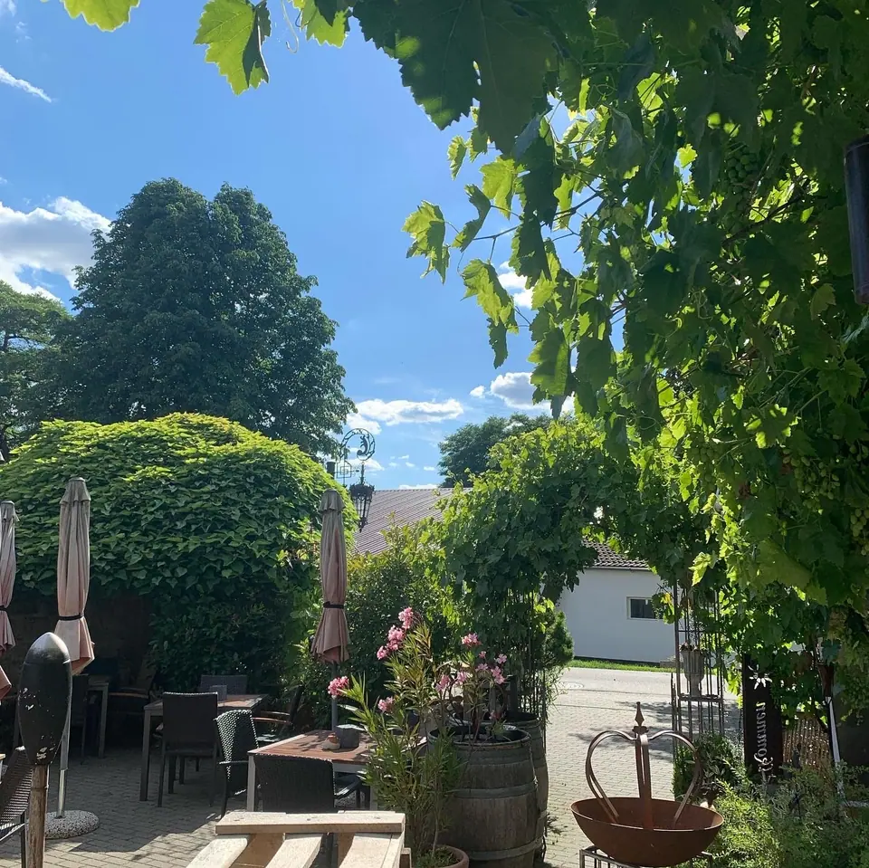 Weinlaub und Sonnenschirme im Hof